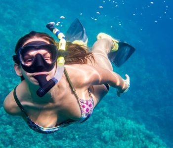 Big-Island-Snorkeling-tours